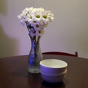 Williams Sonoma ceramic cereal bowls replacement bowls excellent preloved condit